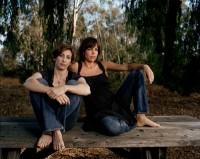 Hermosas criaturas - Destacados - Estudio a la ocurrencia