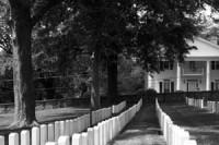 Hermosas criaturas - Destacados - Estudio a la ocurrencia