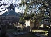 Hermosas criaturas Destacados Estudio ocurrencia