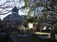 Hermosas criaturas - Destacados - Estudio a la ocurrencia