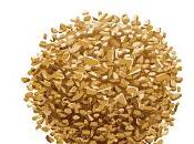 propiedades levadura cerveza