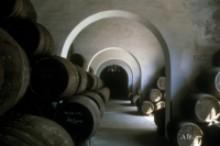 Sanlúcar y la visita a sus bodegas