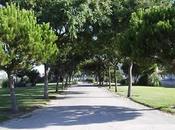 Jornada: Dimensión Sostenible Servicio Conservación Espacios Verdes Urbanos'