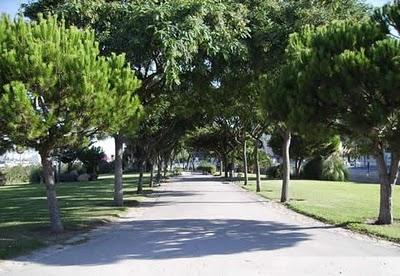 Jornada: 'La Dimensión Sostenible En El Servicio De Conservación De Espacios Verdes Urbanos'