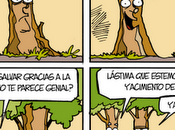 Perlas (IV)