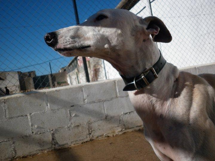 Zoido recuperado y esperando su familia