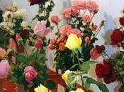 Roses tardor: impresiones