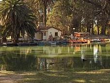 Raices, arraigos desarraigos otros blogs