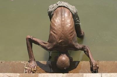 ¿QUIÉN HA CREADO LA SOCIEDAD DEL BIENESTAR?