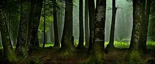 CUANDO SE APAGA LA LUZ