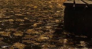 CUANDO SE APAGA LA LUZ