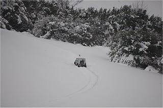 UN POCO DE NIEVE