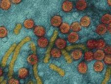 Bioterrorismo evolución virus