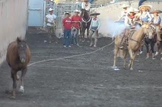 Lista La Final del Torneo Capacha