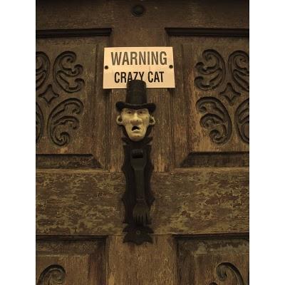 El estudio de Esteban Bojorquez