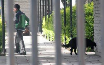 Arborizarán centros Sename para mejorar rehabilitación