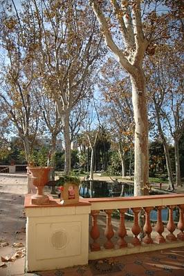 Roses a la tardor: Un día para recordar.