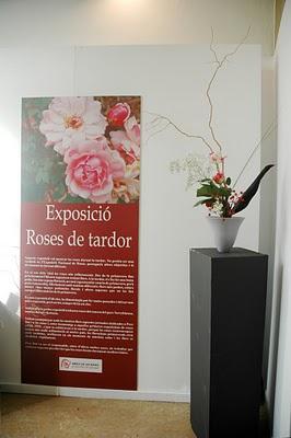 Roses a la tardor: Un día para recordar.