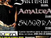 Festival solidario Málaga favor Miko Heikkila