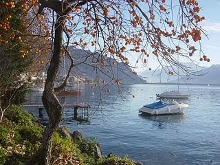 Feria de Arte en Suiza: MAG 2010