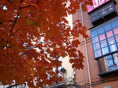 Un pedacito de otoño