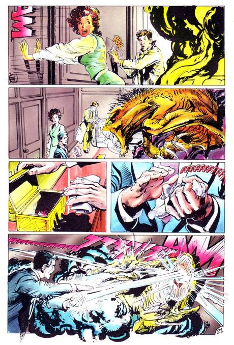 De locura, como un bocadillo de sopa