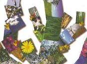 Aigües. Edición limpiar mundo. comunidades cuidan Naturaleza"