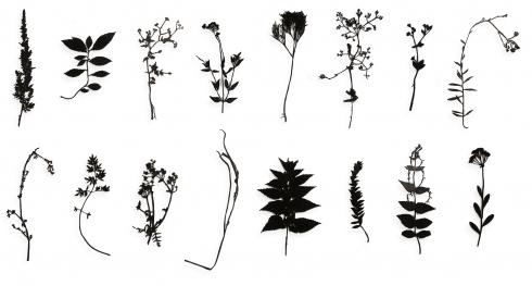 Bronces recortados de Jan Hendrix