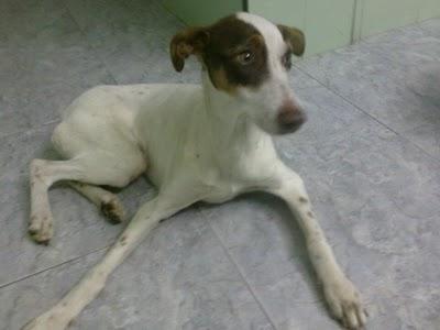 Bodeguero maltratado cruelmente, Cádiz