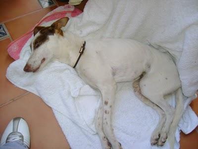 Bodeguero maltratado cruelmente, Cádiz