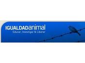 Actividades igualdad animal