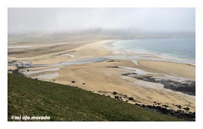 Paisajes de agua. Islandia