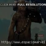 Star Wars: Chewbacca Nº 1