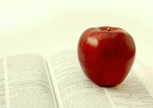 profesor particular en verano