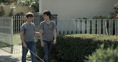 A primera vista. La ternura como protagonista.