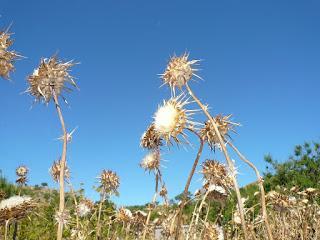 La vida no es justa. Tú tampoco eres perfecto.