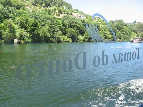 Navegación por el río Douro y la sensación de pasar una esclusa IMG_0151