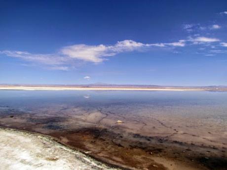 Salar de Atacama. Chile