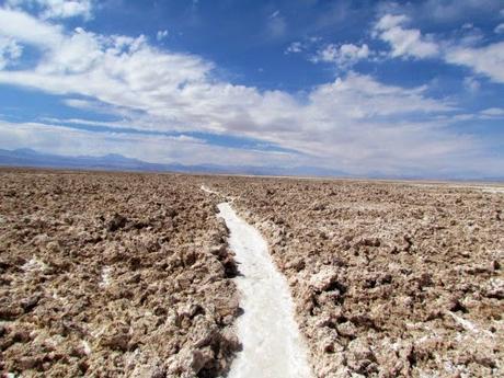 Salar de Atacama. Chile