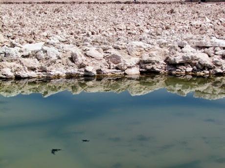 Salar de Atacama. Chile