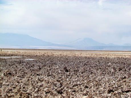 Salar de Atacama. Chile