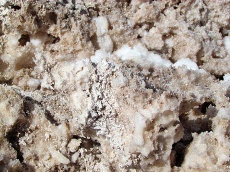 Salar de Atacama. Chile