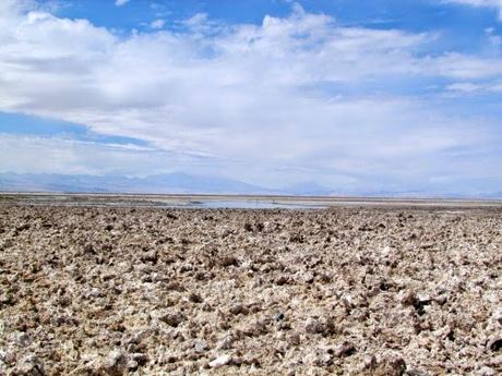 Salar de Atacama. Chile