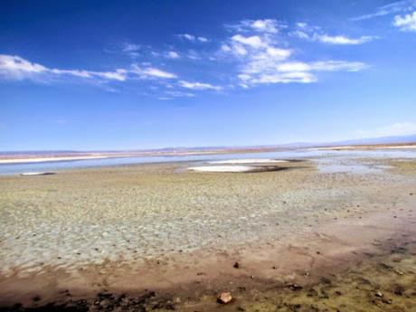 Salar de Atacama. Chile