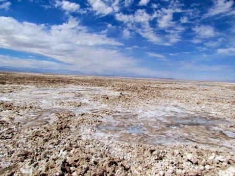 Salar de Atacama. Chile