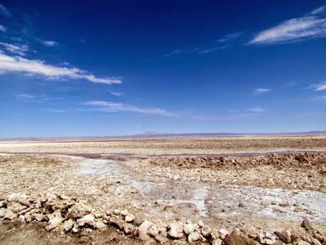 Salar de Atacama. Chile