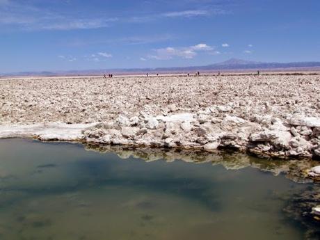 Salar de Atacama. Chile