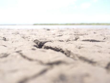 La sequía pertinaz es un efecto del cambio climática