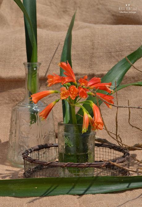 decoracion, must decorativos, tendencia decoracion, jarrones, cristal, jarron crista, arreglo floral, flamenco, loro, diy