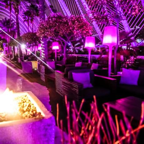 La terraza de L'umbracle